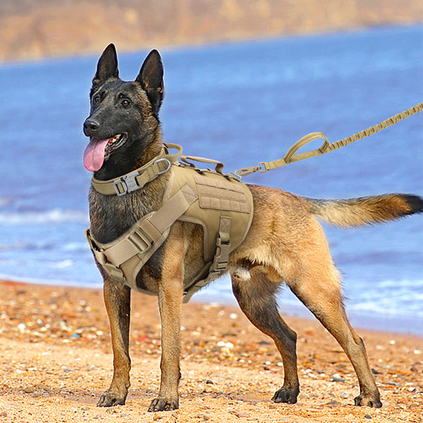 Tactics K9 Chest Harness Vest Type Dog Collar