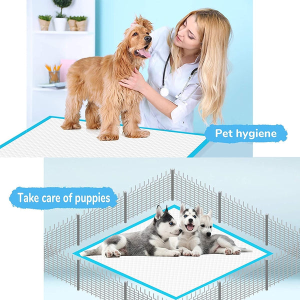 Super Absorbent Pet Diaper Dog Training Pee Pads Disposable Healthy